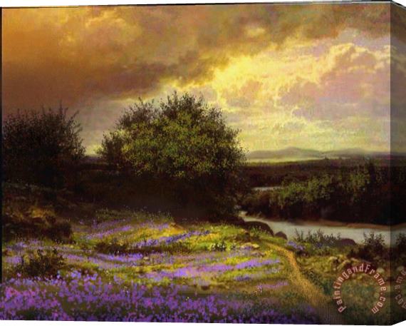 Robert Foster Flower Dell Stretched Canvas Print / Canvas Art