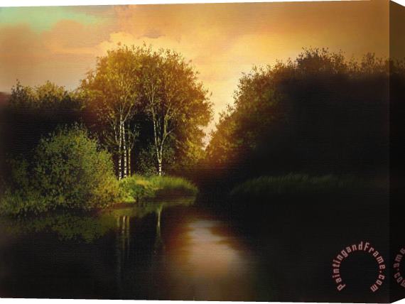 Robert Foster Lake Trees Stretched Canvas Painting / Canvas Art