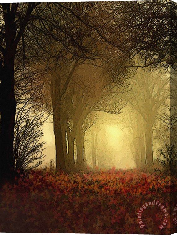 Robert Foster Leaf Path Stretched Canvas Print / Canvas Art