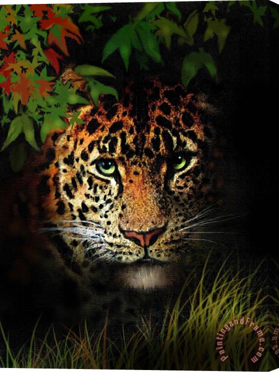 Robert Foster Leopard Stretched Canvas Painting / Canvas Art