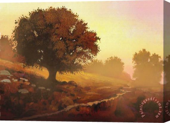 Robert Foster Mystic Oak Stretched Canvas Print / Canvas Art