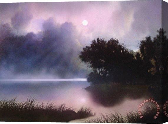 Robert Foster Rain Lake Stretched Canvas Print / Canvas Art