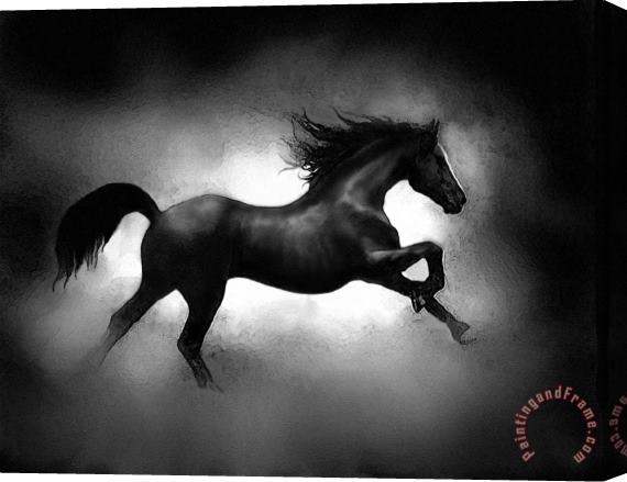 Robert Foster Running Horse Stretched Canvas Painting / Canvas Art