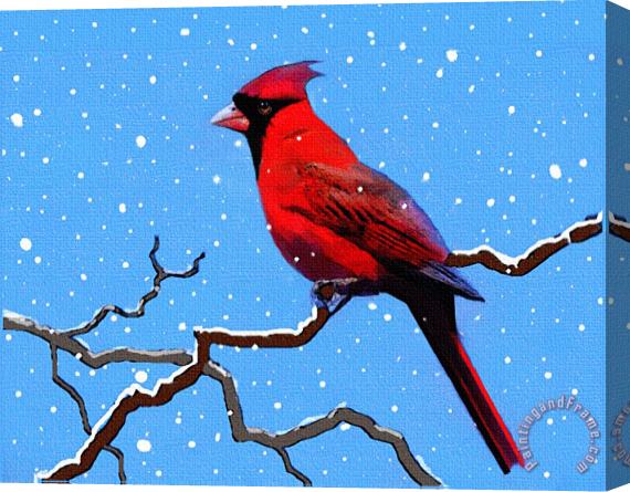 Robert Foster Snow Card Stretched Canvas Painting / Canvas Art