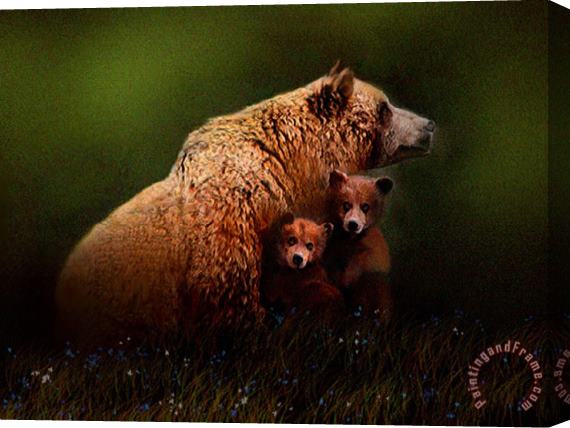 Robert Foster Three Bears Stretched Canvas Print / Canvas Art