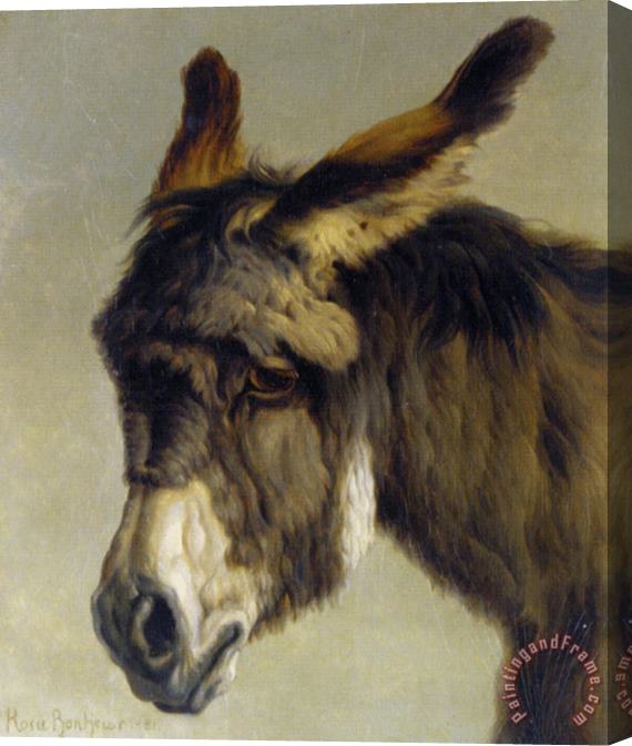 Rosa Bonheur Head of a Donkey Stretched Canvas Print / Canvas Art