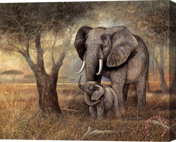 Ruane Manning Gentle Touch Stretched Canvas Painting / Canvas Art