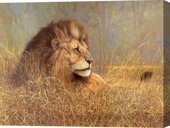 Ruane Manning Majestic Beauty Stretched Canvas Print / Canvas Art