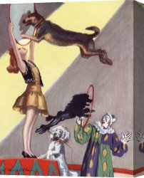 At The Circus Canvas Prints - Circus Dog Act by Salomon van Abbe