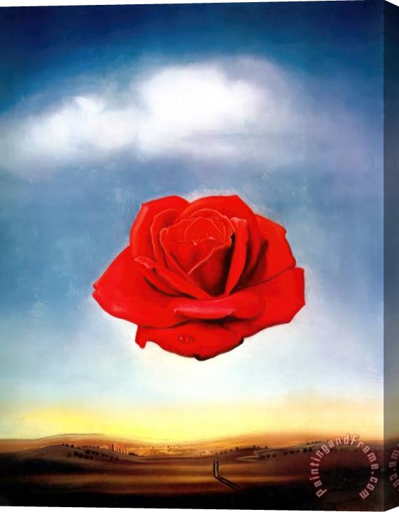 Salvador Dali Dali Meditative Rose Stretched Canvas Print / Canvas Art