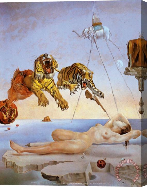 Salvador Dali Dream Caused by The Flight of a Bee a Second Before Awakening Stretched Canvas Print / Canvas Art