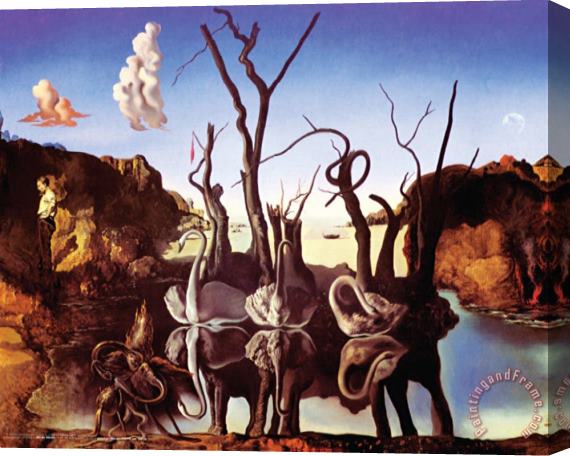 Salvador Dali Reflection of Elephants Stretched Canvas Print / Canvas Art