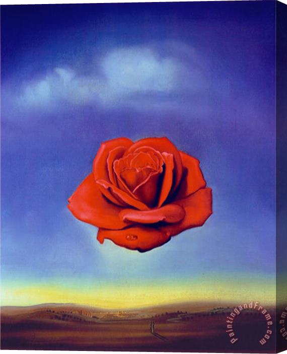Salvador Dali Rose Medidative C 1958 Stretched Canvas Painting / Canvas Art