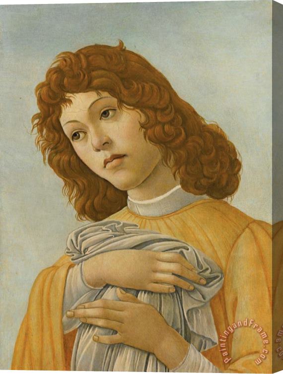 Sandro Botticelli An Angel, Head And Shoulders Stretched Canvas Print / Canvas Art