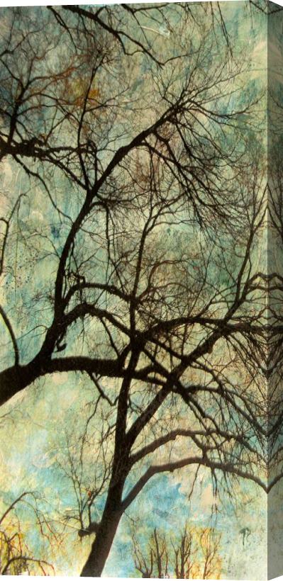 Sara Abbott Abstract Trees VI Stretched Canvas Painting / Canvas Art