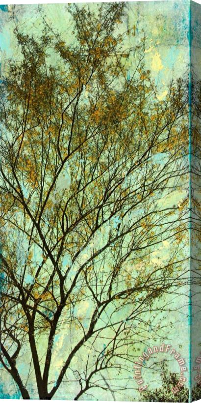 Sara Abbott Abstracted Trees IV Stretched Canvas Print / Canvas Art