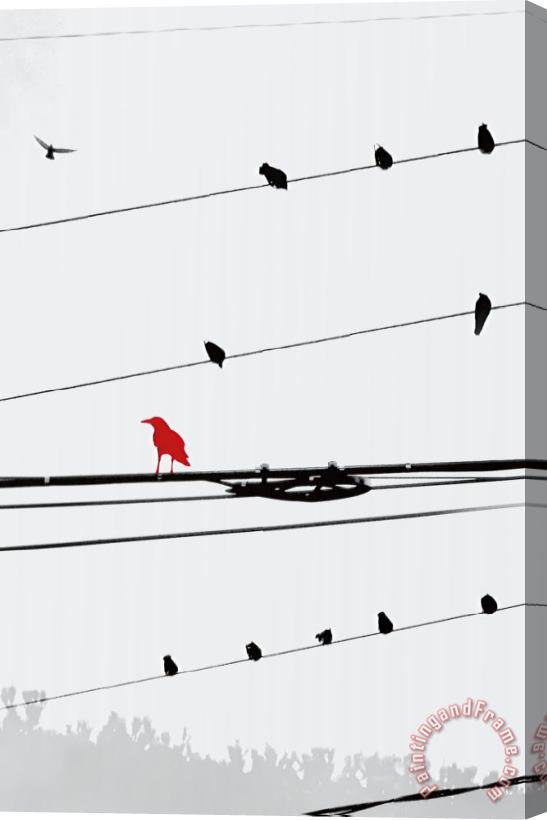 Sara Abbott Birds on a Wire I Stretched Canvas Painting / Canvas Art