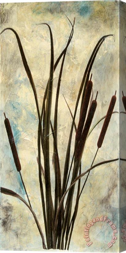 Sara Abbott Entice II Stretched Canvas Painting / Canvas Art