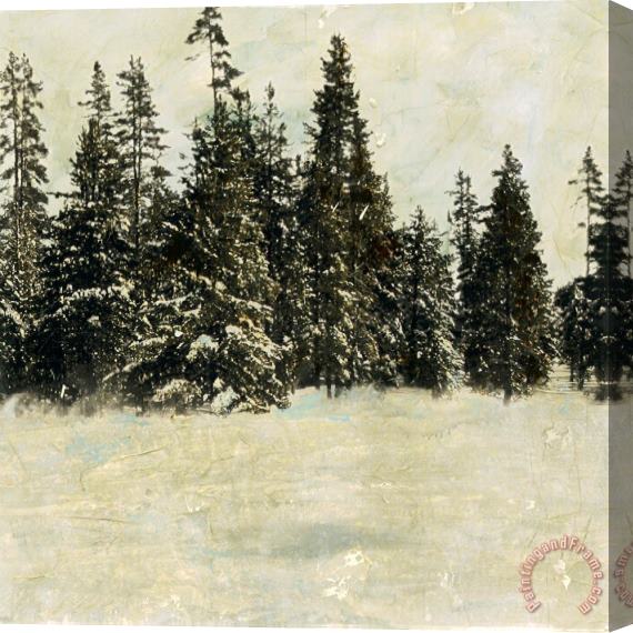 Sara Abbott Snow Trees II Stretched Canvas Painting / Canvas Art