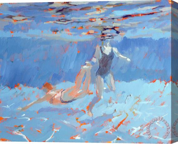 Sarah Butterfield Underwater Stretched Canvas Painting / Canvas Art