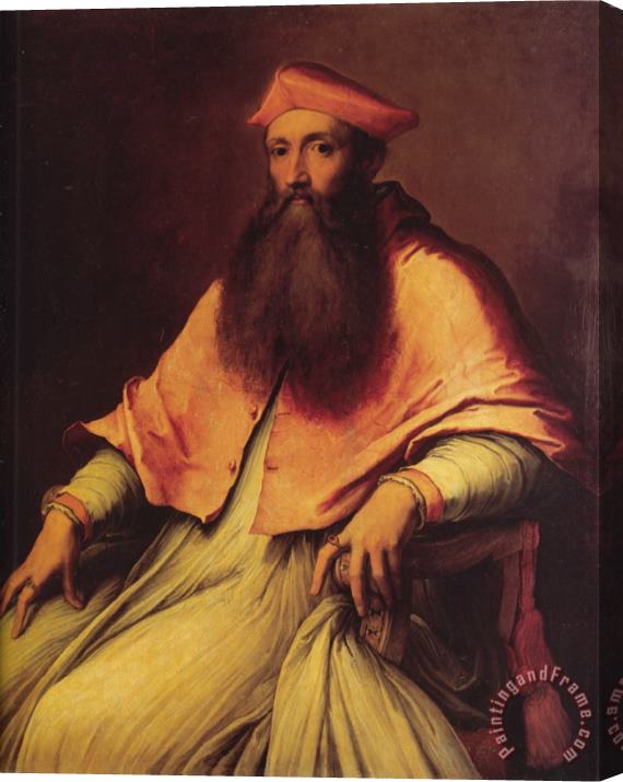 Sebastiano del Piombo Portrait of Cardinal Reginald Pole Stretched Canvas Print / Canvas Art