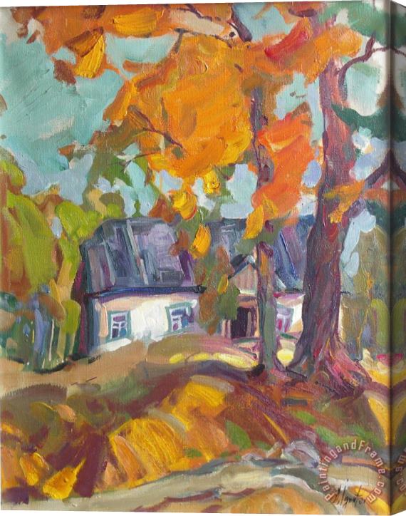 Sergey Ignatenko The house in Chervonka village Stretched Canvas Print / Canvas Art