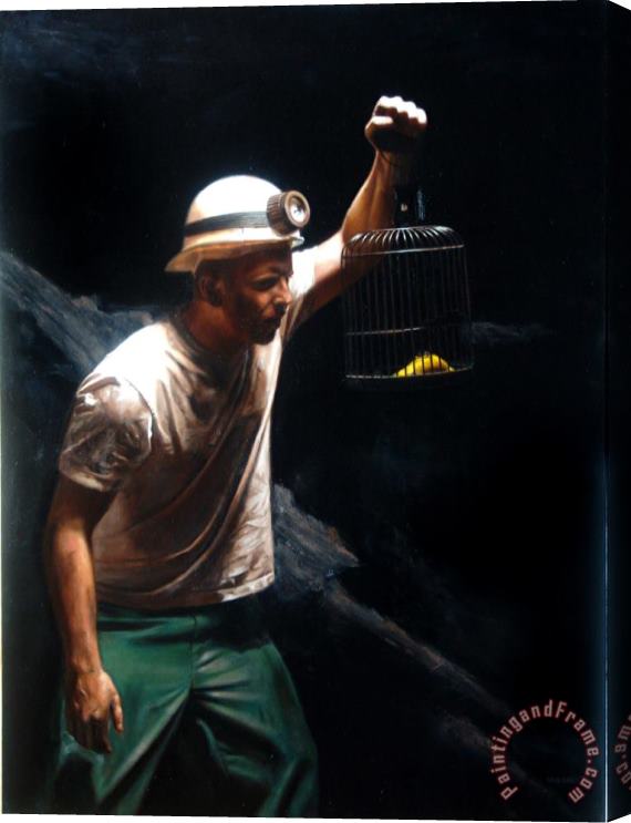 Shaun Downey The Miner And The Canary Stretched Canvas Print / Canvas Art
