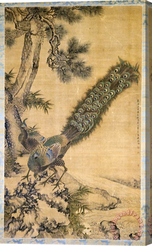Shen Nanpin Bamboo, Pine And Peacocks Stretched Canvas Painting / Canvas Art