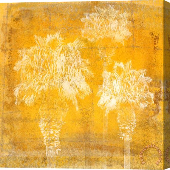 Sia Aryai California II Stretched Canvas Painting / Canvas Art