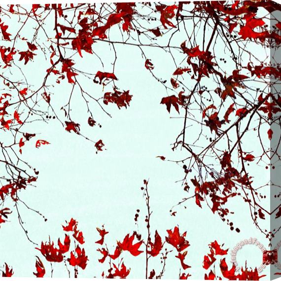 Sia Aryai November II Stretched Canvas Print / Canvas Art