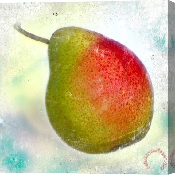 Sia Aryai Pear Stretched Canvas Painting / Canvas Art
