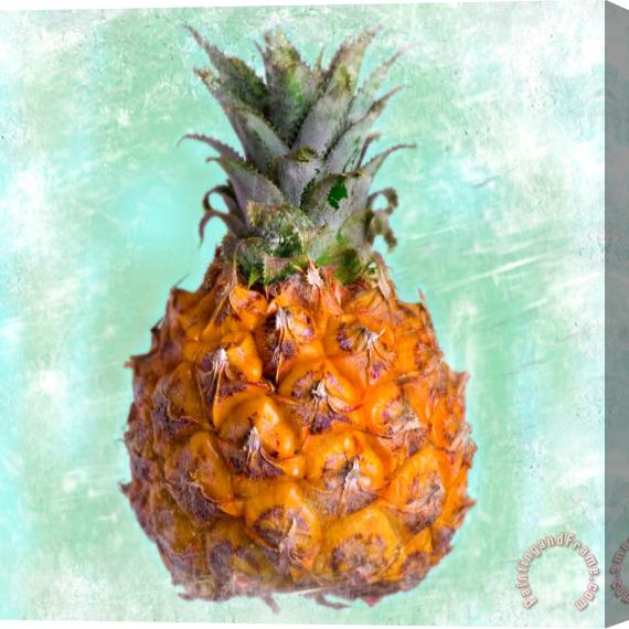 Sia Aryai Pineapple Queen Stretched Canvas Print / Canvas Art