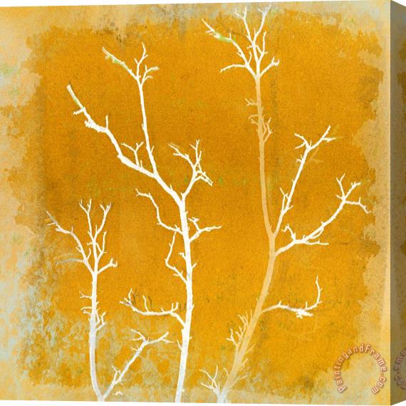 Sia Aryai Shine II Stretched Canvas Painting / Canvas Art