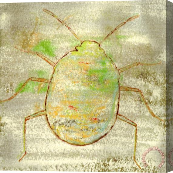 Sia Aryai Sugar Bug II Stretched Canvas Painting / Canvas Art