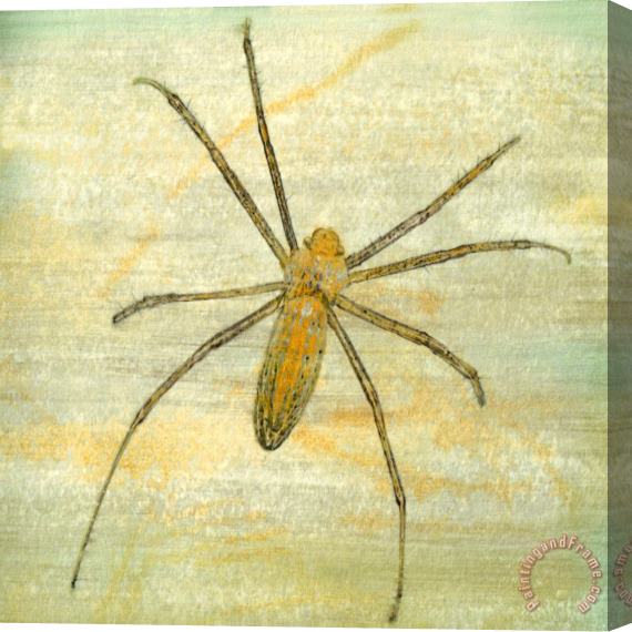 Sia Aryai Sugar Bug V Stretched Canvas Painting / Canvas Art