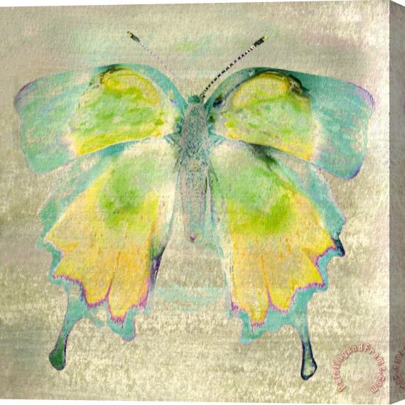 Sia Aryai Sugar Bug VI Stretched Canvas Print / Canvas Art