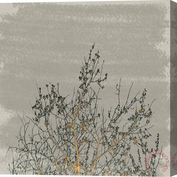 Sia Aryai Tranquility III Stretched Canvas Print / Canvas Art