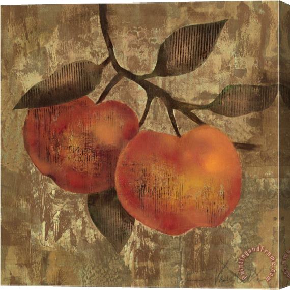 Silvia Vassileva Apple Stretched Canvas Print / Canvas Art