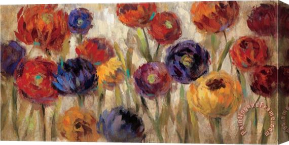 Silvia Vassileva Asters And Mums Stretched Canvas Print / Canvas Art