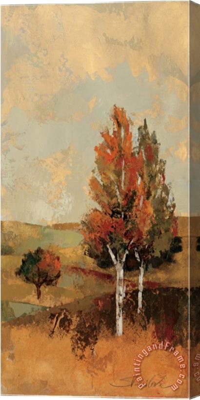 Silvia Vassileva Autumn Hills III Stretched Canvas Painting / Canvas Art