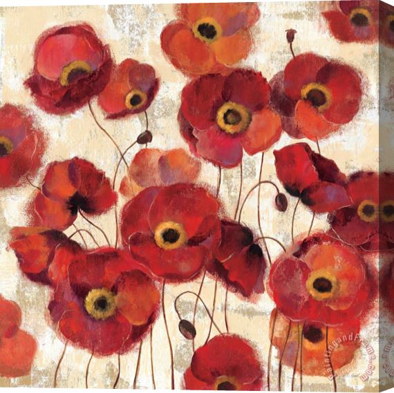 Silvia Vassileva Bold Poppies Stretched Canvas Print / Canvas Art