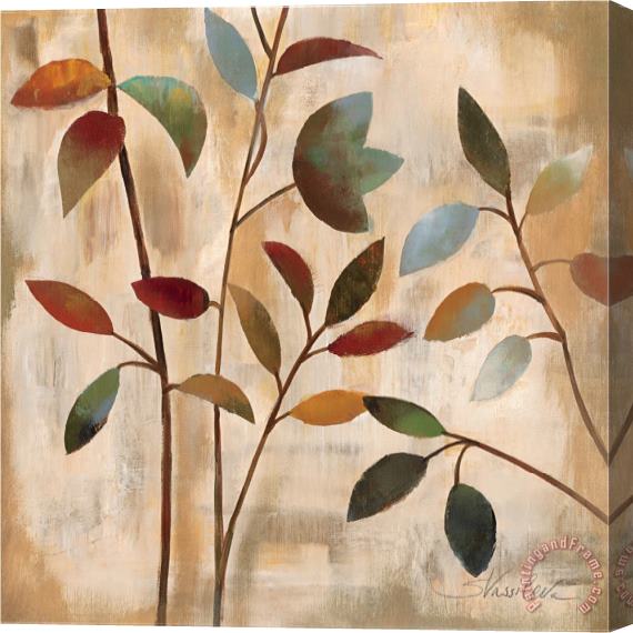 Silvia Vassileva Branches at Sunrise I Stretched Canvas Print / Canvas Art