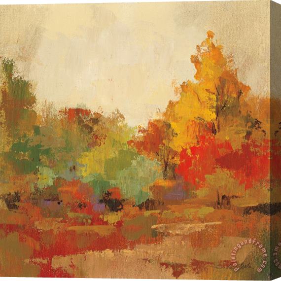 Silvia Vassileva Fall Forest II Stretched Canvas Painting / Canvas Art