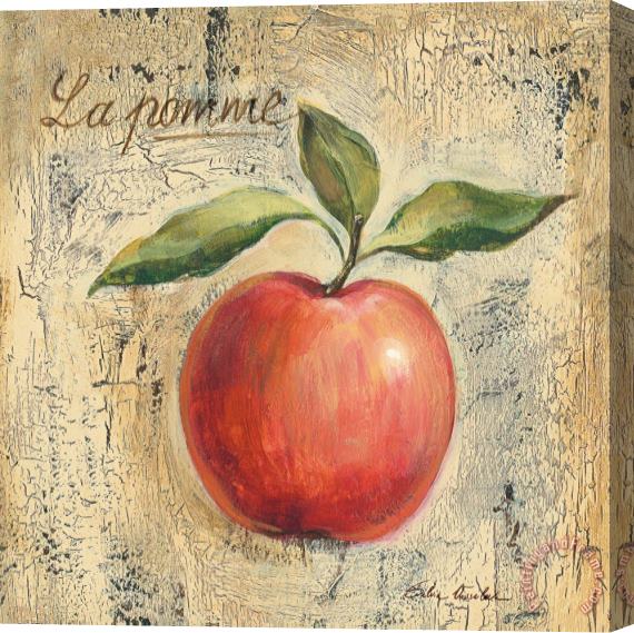 Silvia Vassileva La Pomme Stretched Canvas Print / Canvas Art