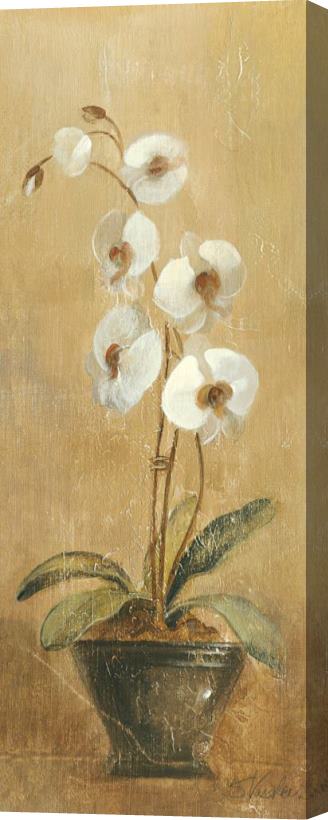 Silvia Vassileva Orchids in Bronze Bowl I Stretched Canvas Print / Canvas Art