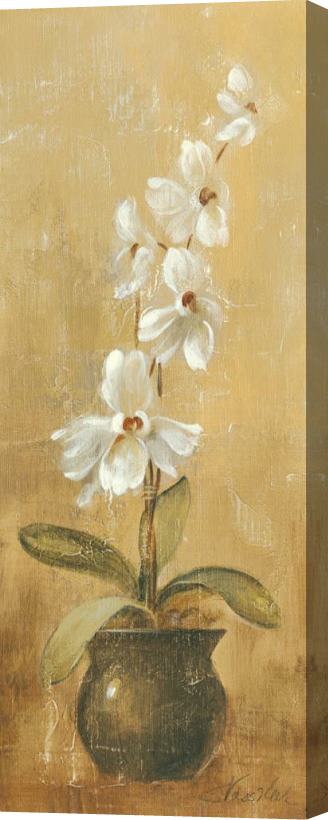 Silvia Vassileva Orchids in Bronze Bowl II Stretched Canvas Painting / Canvas Art