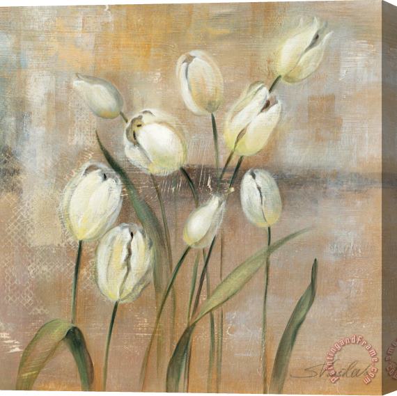 Silvia Vassileva Spring Field II Stretched Canvas Painting / Canvas Art