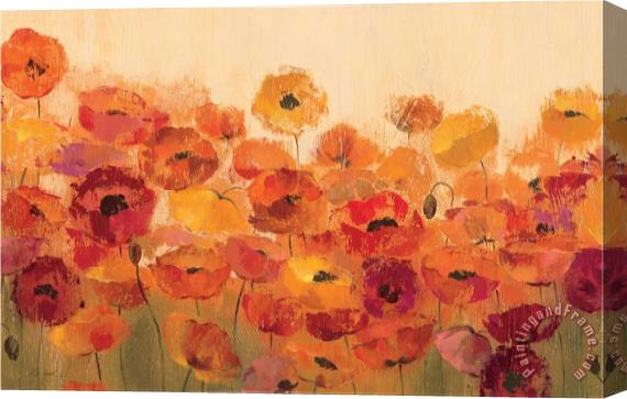 Silvia Vassileva Summer Poppies Stretched Canvas Print / Canvas Art