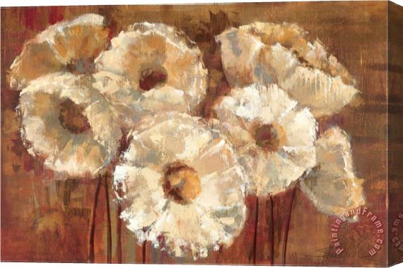 Silvia Vassileva Waltzing Poppies Stretched Canvas Print / Canvas Art