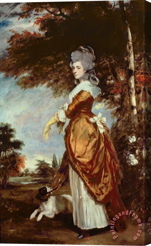 Sir Joshua Reynolds Mary Amelia First Marchioness of Salisbury Stretched Canvas Print / Canvas Art